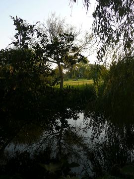 p1020598.jpg