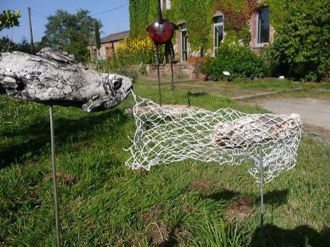 p1020617.jpg