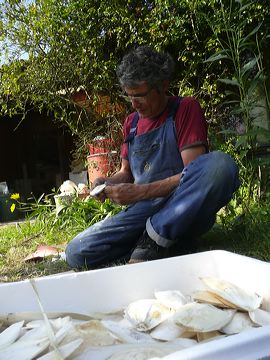 p1020195.jpg