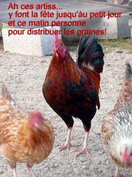 coq.jpg