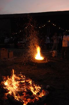 _dsc0417.jpg