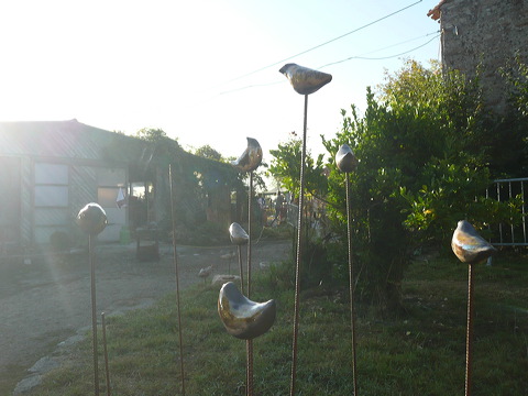p1240070.jpg