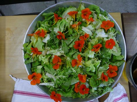 p1250276.jpg